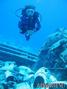 scuba diving photo