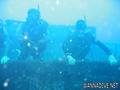 scuba diving photo