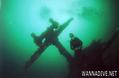 scuba diving photo