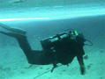 scuba diving photo