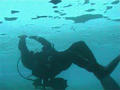 scuba diving photo