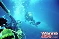 scuba diving photo