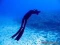 scuba diving photo